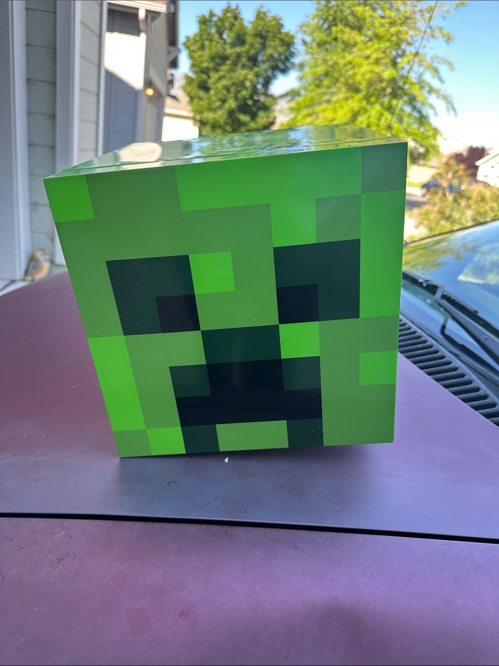 Minecraft personal fridge